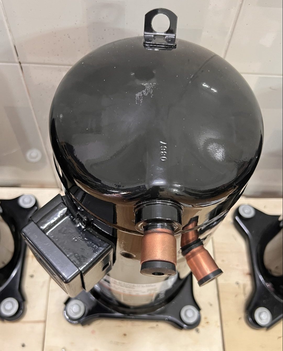 9D133E55 3563 4868 A28D 00D5AAE0F23E e1772251426567