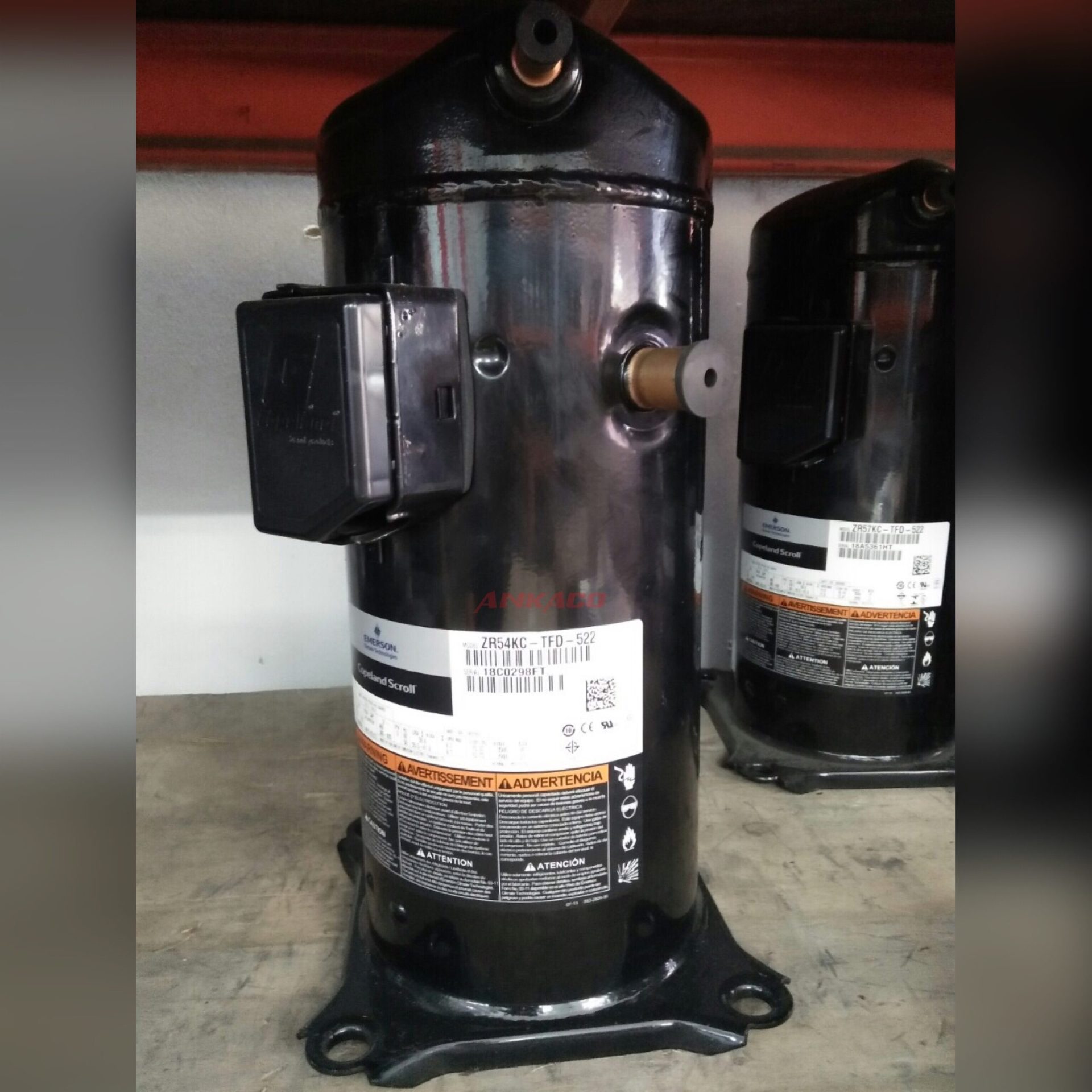 ZR54 thai lan scaled