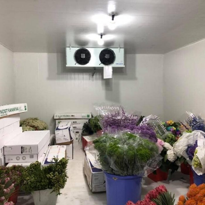 131818723 108040097858971 4962596562774998748 n