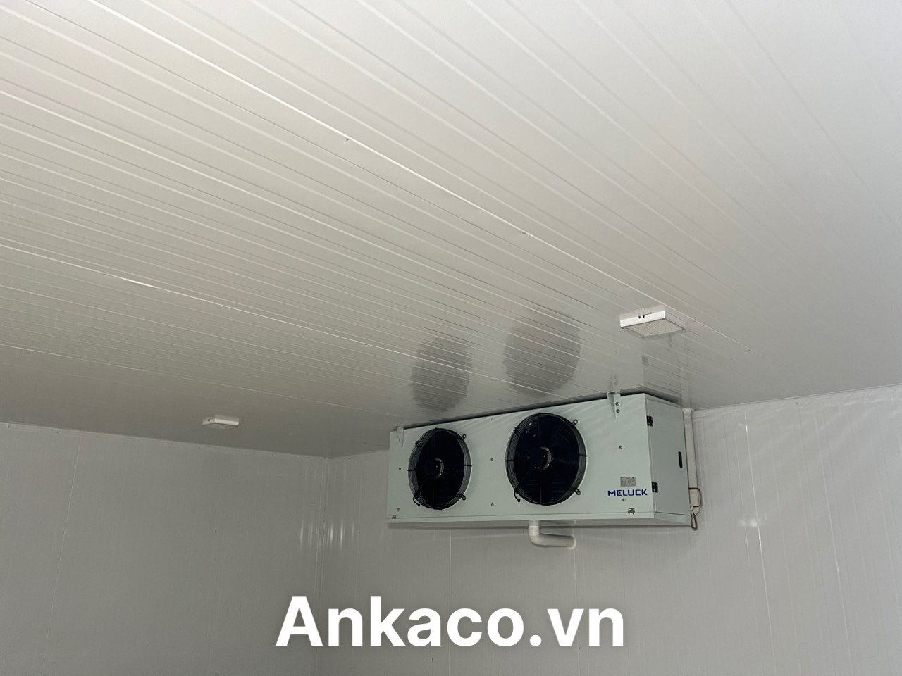 kho lanh bao quan thuc pham nuong 1