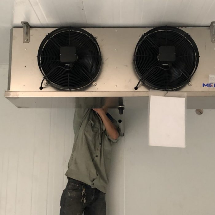 cung cap lap dat kho lanh kho dong lanh 15