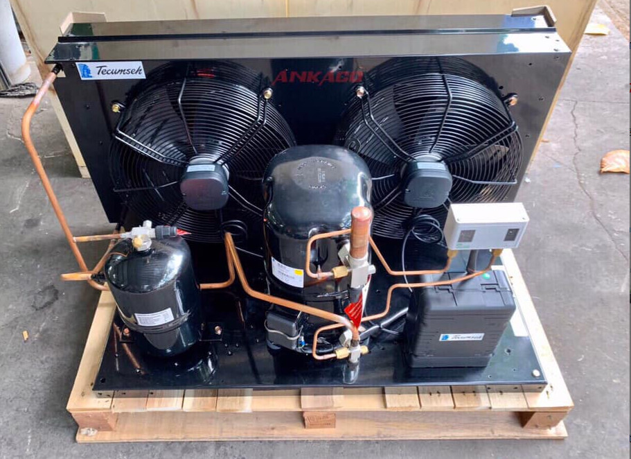 Phân phối cụm máy nén Tecumseh chính hãng TFH4524ZHREP 1 cum Tecumseh 2 HP TFH4524ZHREP