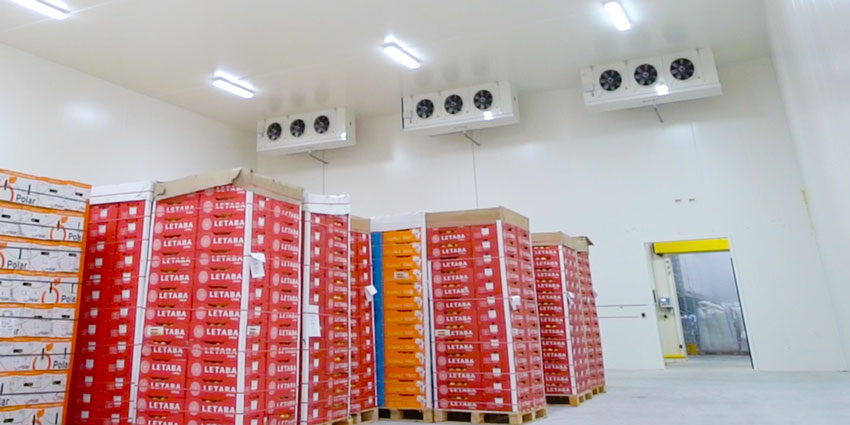 Công dụng của kho lạnh là gì? Lợi ích và ứng dụng của kho lạnh trong thực tiễn 1 cong dung kho lanh trong viec bao quan thuc pham nong thuy han san ankaco