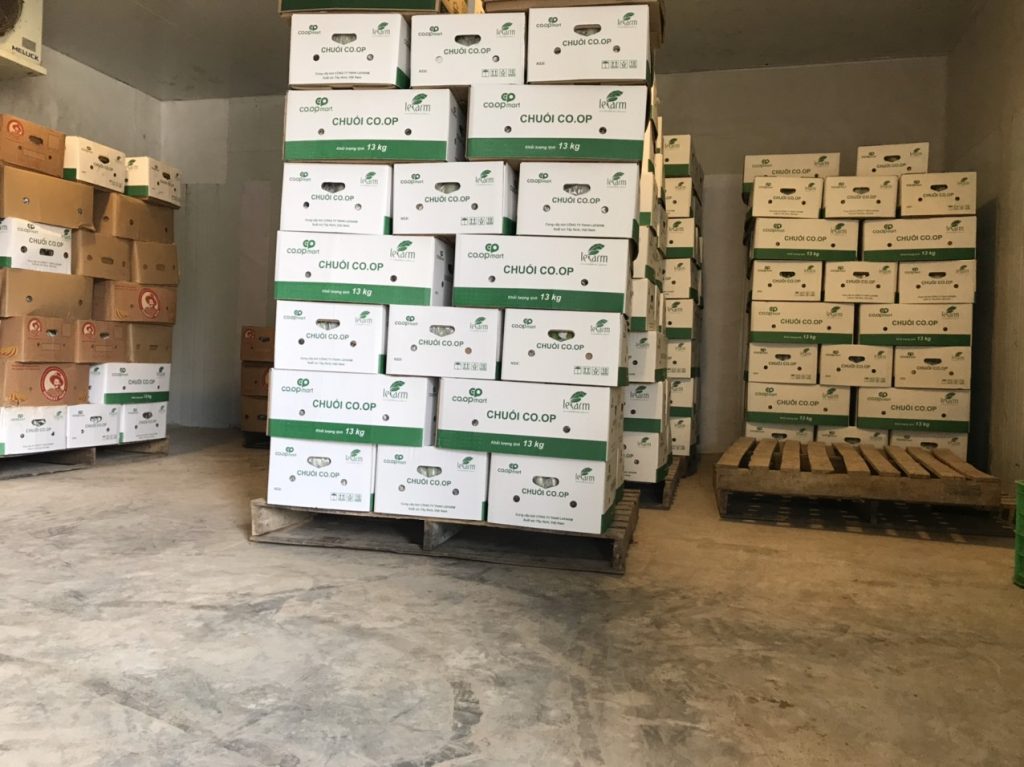 Thiết kế kho lạnh bảo quản trái cây - Lợi ích và điều chỉnh nhiệt độ thế nào 1 323