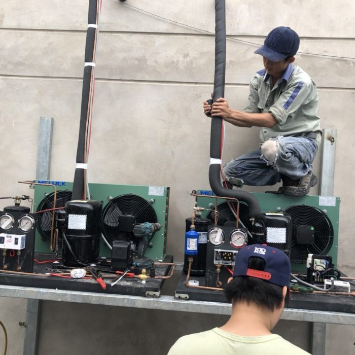 kulthorn 3 hp cum may nen 5