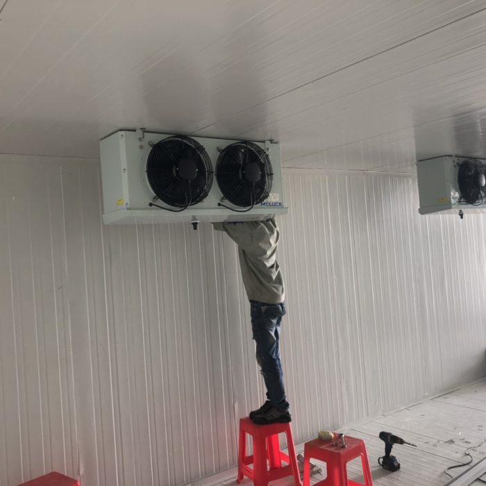 lap kho lanh tru trai cay ben tre 5