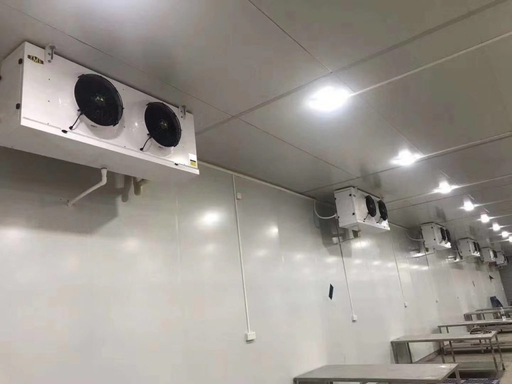 yeu to quan trong khi lap dat kho lanh bao quan thuy san ankaco