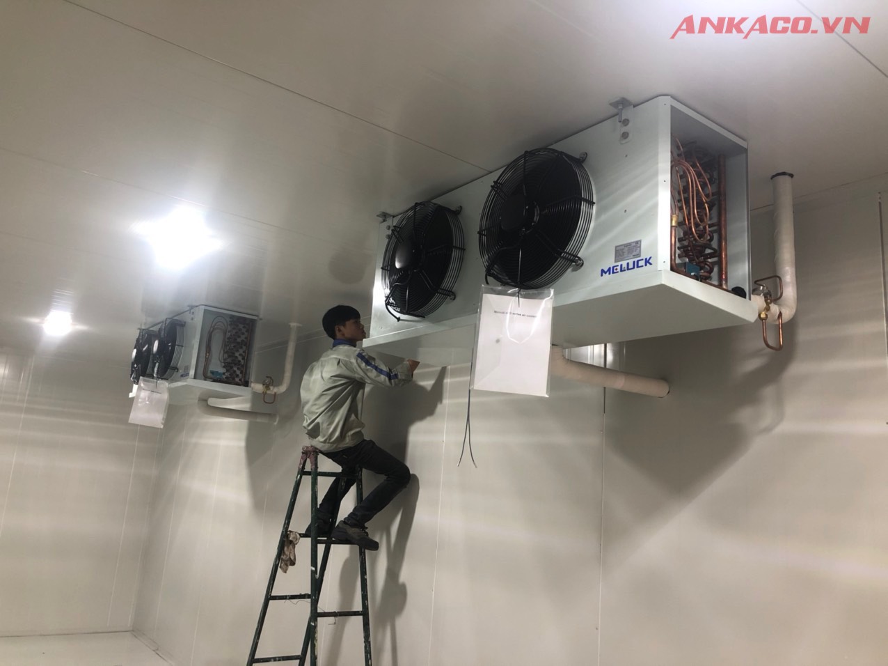 sua chua kho lanh uy tin