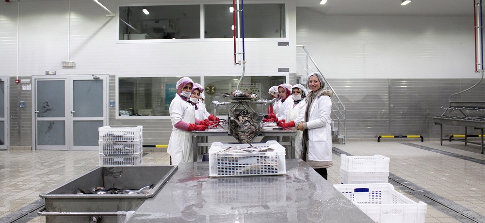 Cách lắp đặt kho đông lạnh thuỷ hải sản chất lượng, đúng chuẩn 2 Lắp đặt kho đông lạnh chuyên nghiệp chính là giải pháp hoàn hảo mà các doanh nghiệp nên áp dụng để mang về lợi nhuận lớn