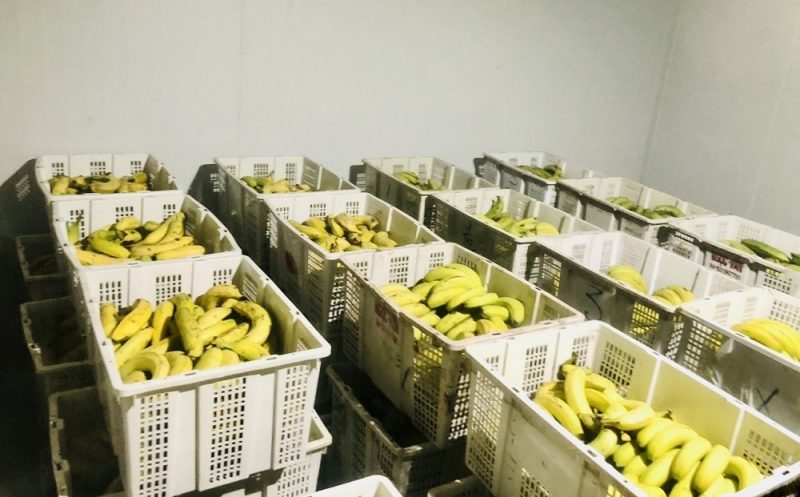 Tiêu chuẩn quan trọng khi lắp đặt kho lạnh bảo quản nông sản 45 lap dat kho lanh bao quan nong san ankaco