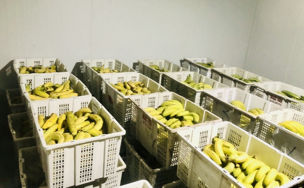 lap dat kho lanh bao quan nong san ankaco