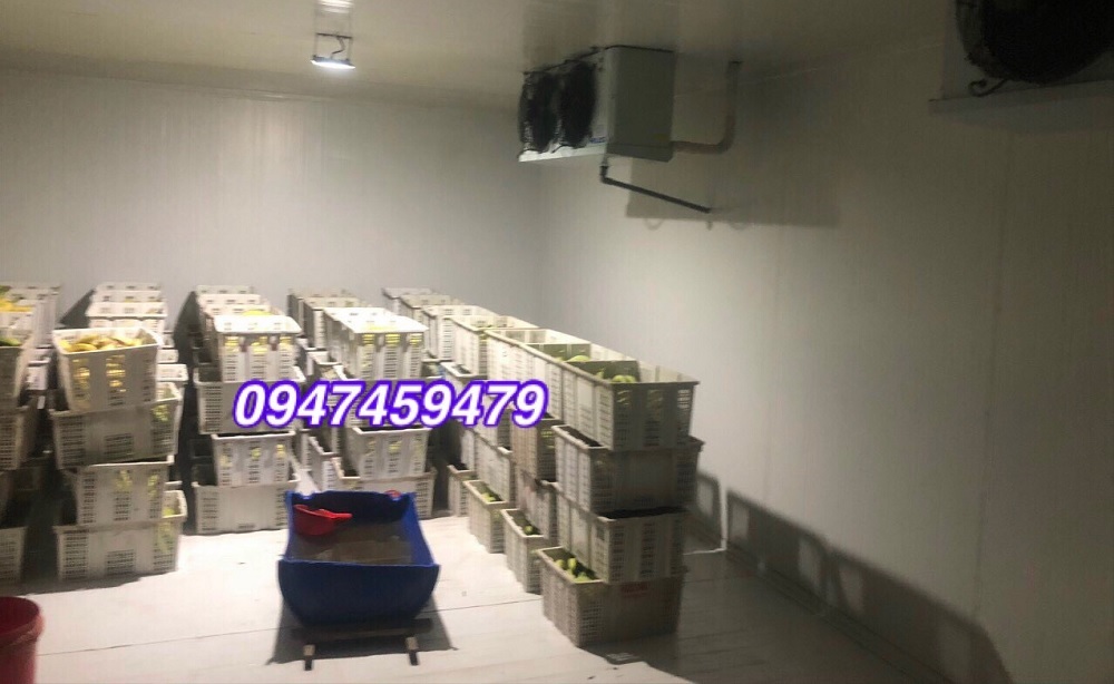 lap dat kho lanh bao quan nong san tai vinh long ankaco