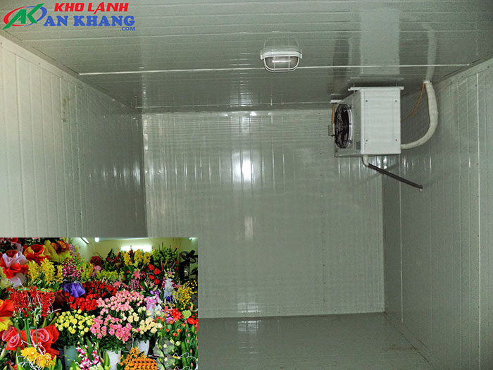 Mẹo sàng lọc nơi lắp đặt kho lạnh tại  Cà Mau tốt nhất