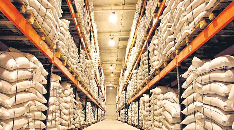 Đơn vị lắp đặt kho lạnh uy tín tại HCM