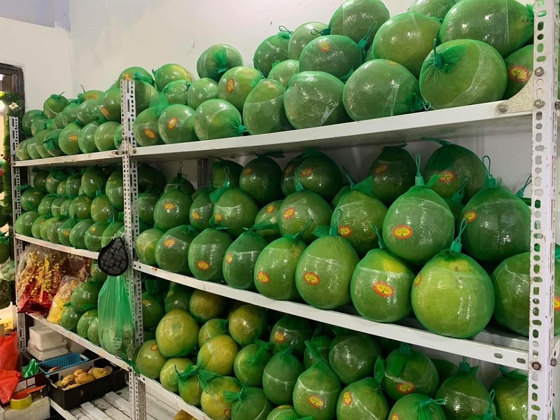 Địa chỉ lắp đặt kho lạnh tại Bên Tre chất lượng