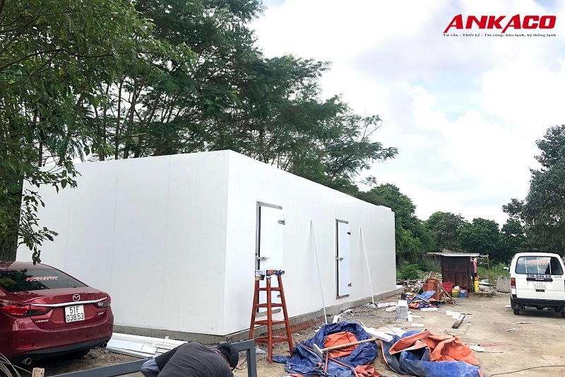 Lợi ích vượt trội của kho lạnh bảo quản thực phẩm 40 loi ich khi lap dat kho lanh ankaco