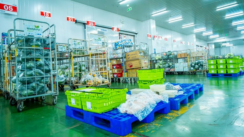 ankaco chuyen lap dat kho lanh bao quan tai ben tre ankaco