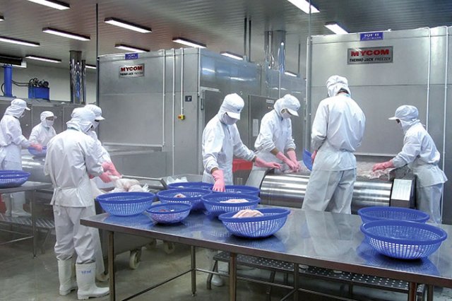 ankaco chuyen lap dat kho lanh bao quan uy tin