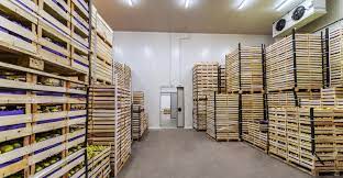 Quy trình thiết kế kho lạnh bảo quản trái cây tại Hậu Giang đúng kỹ thuật 1 download