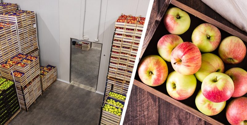 kho lanh bao quan tao uy tin tai binh phuoc ankaco