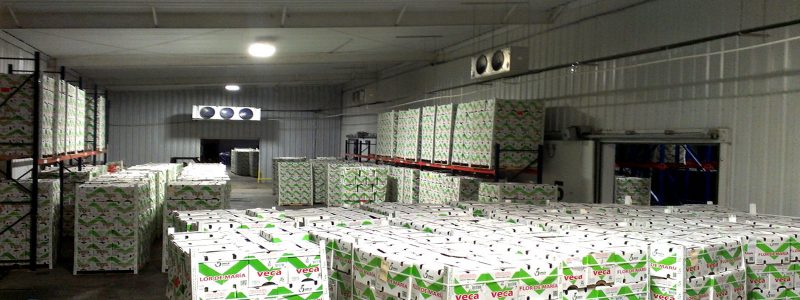 xay dung he thong kho lanh co quan trong ankaco