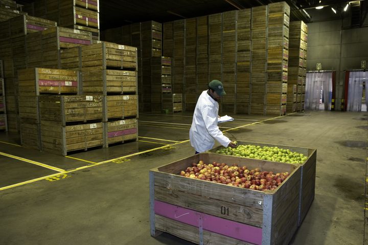 lap dat kho lanh gia re cu uy tin ankaco