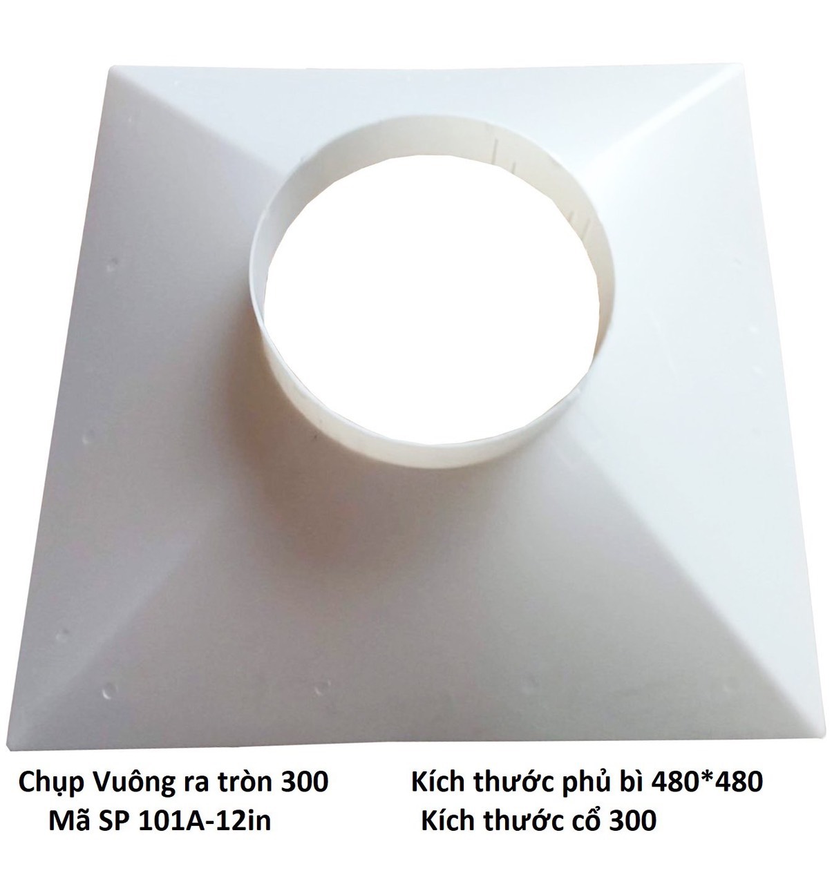 Chup Vuong ra trong 101A 12in