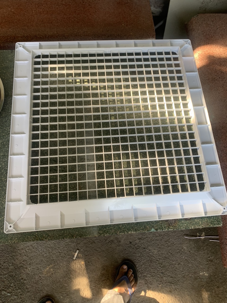 Mieng gio sot trung khung trong thao duoc301G