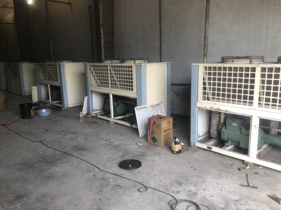 Kho bảo quản trái thanh long tại Long an Phan Thiết 8 Kho bao quan trai thang long Long an 1