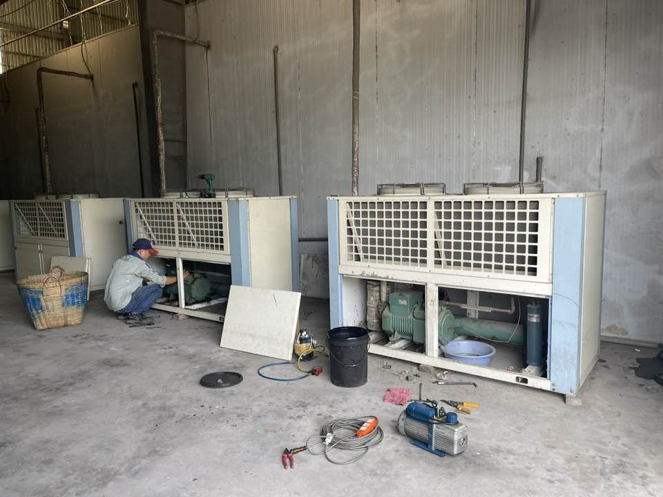 Kho bảo quản trái thanh long tại Long an Phan Thiết 12 Kho bao quan trai thang long Long an 5