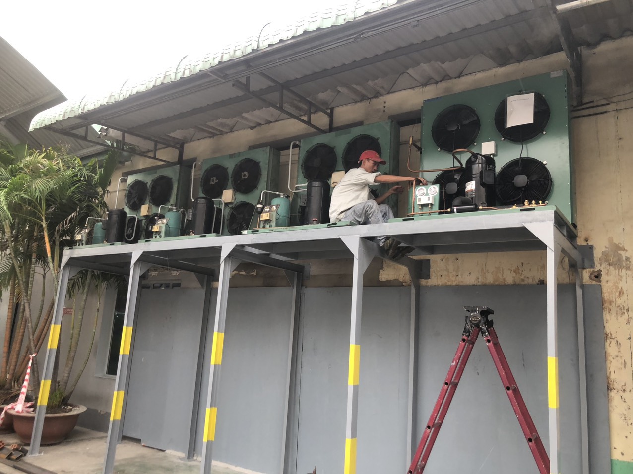 Kho lạnh nhà máy sản xuất phở TPHCM 4 kho lanh bao quan banh pho 10