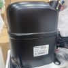 máy nén lạnh Danfoss 1HP GS34TB 1 gs34tb