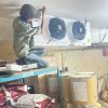 kho lanh bao quan thuc an gia suc 10 e1786007125820